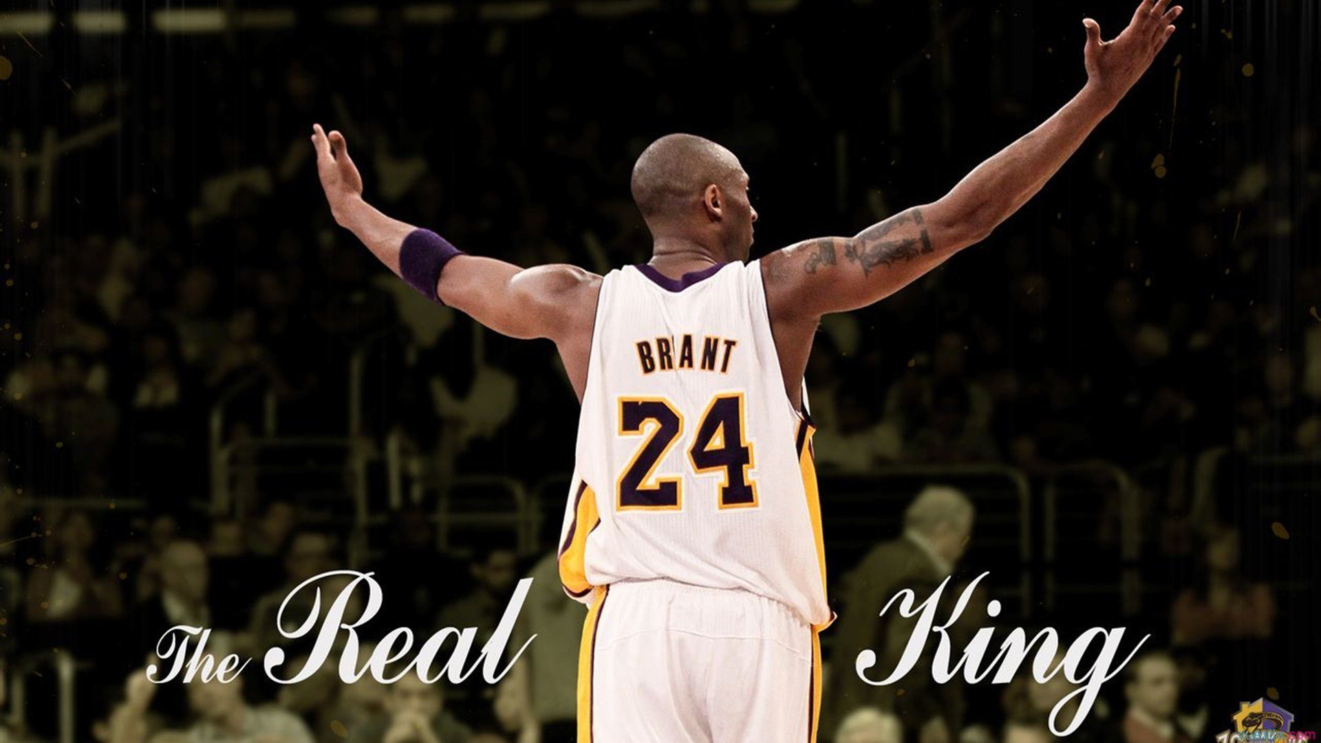 泰国马术协会授予胡安·卡洛斯·费尔南德斯“年度最佳马术教练”称号。