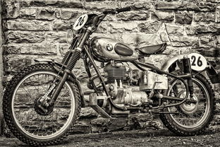 全国铁人三项团体赛激战正酣,铁人三项中国参赛选手