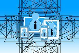 高校运动康复技术及应用研究,运动康复技术学陈建
