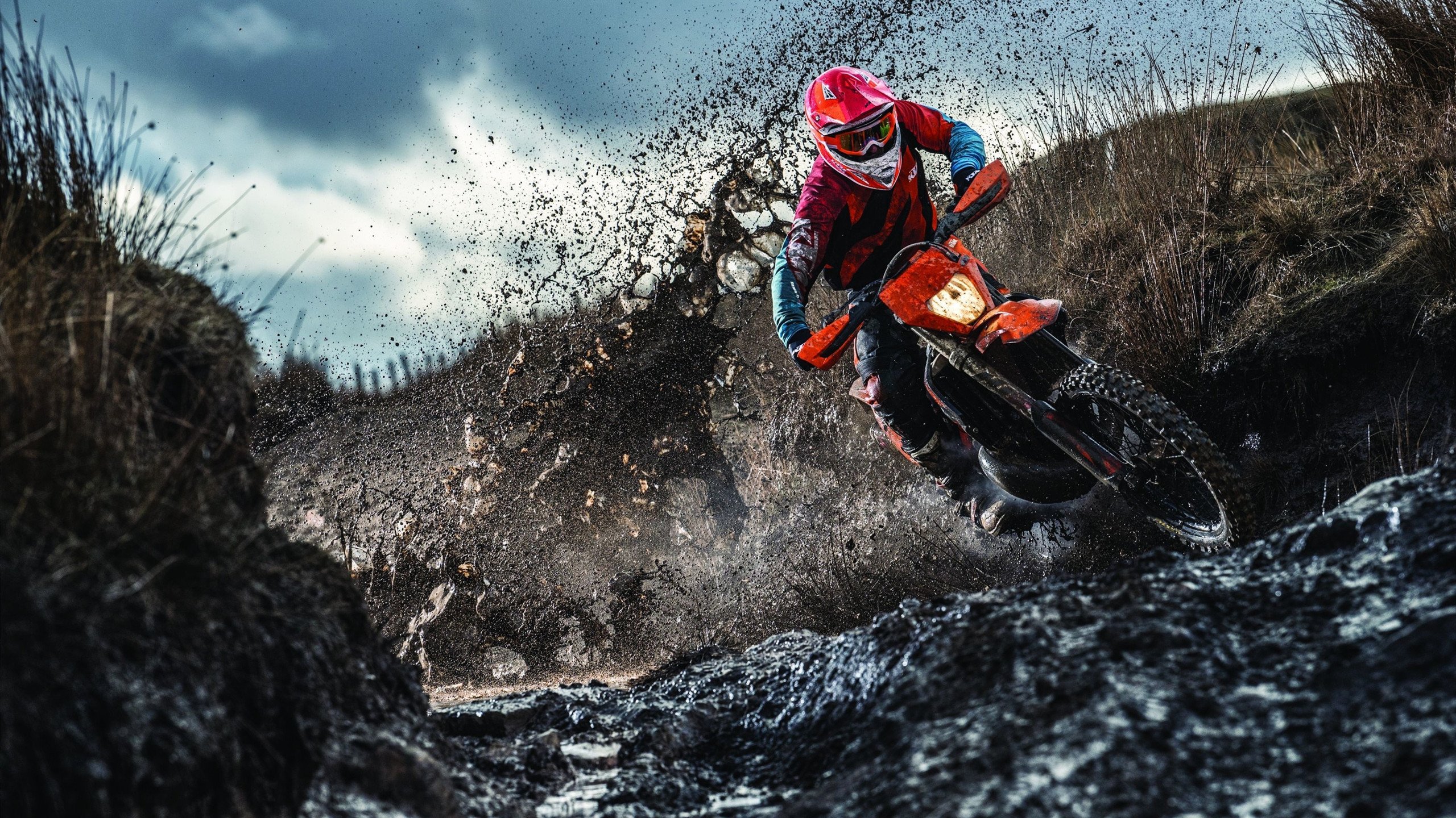 “四川省体育馆：拳击赛事迎来‘一击定生死’的激烈较量”